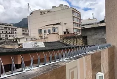 lanca protetora (1) lanca protetora (1)